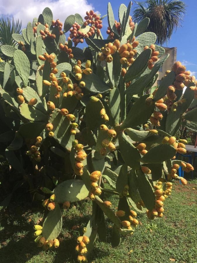 הוילה קאסרטה Il Giardino Degli Agrumi מראה חיצוני תמונה