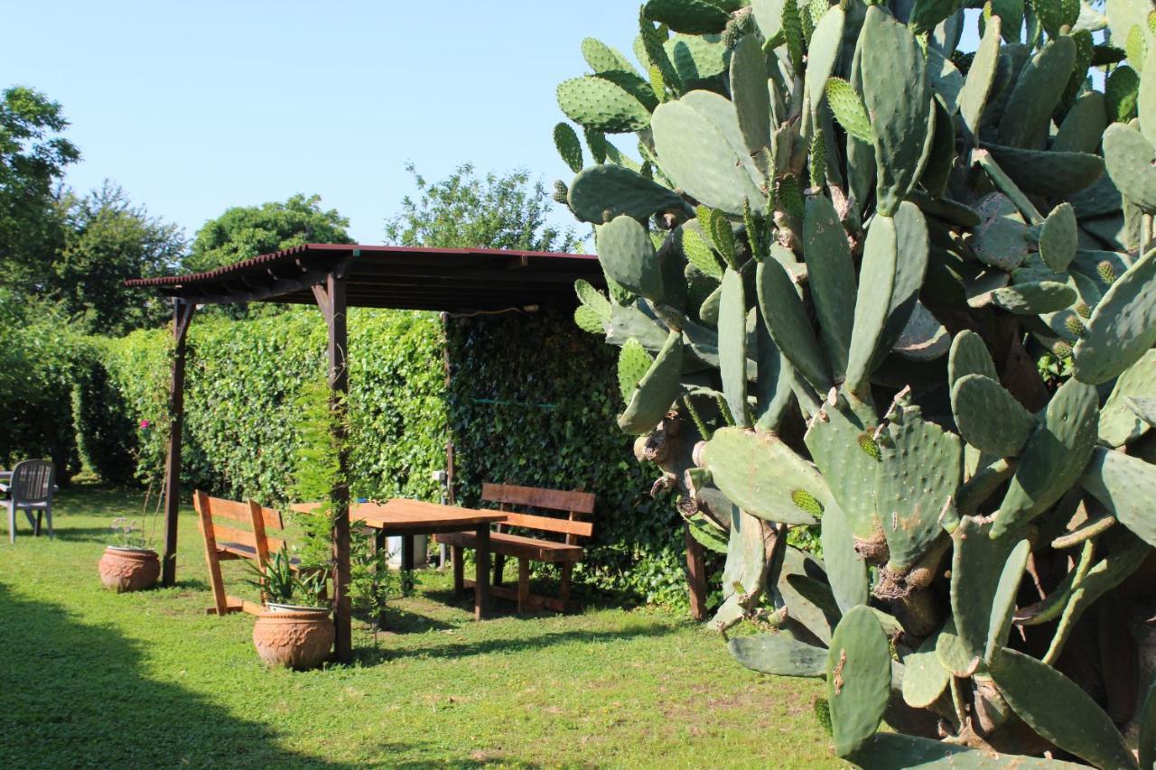 קאסרטה Il Giardino Degli Agrumi מראה חיצוני תמונה