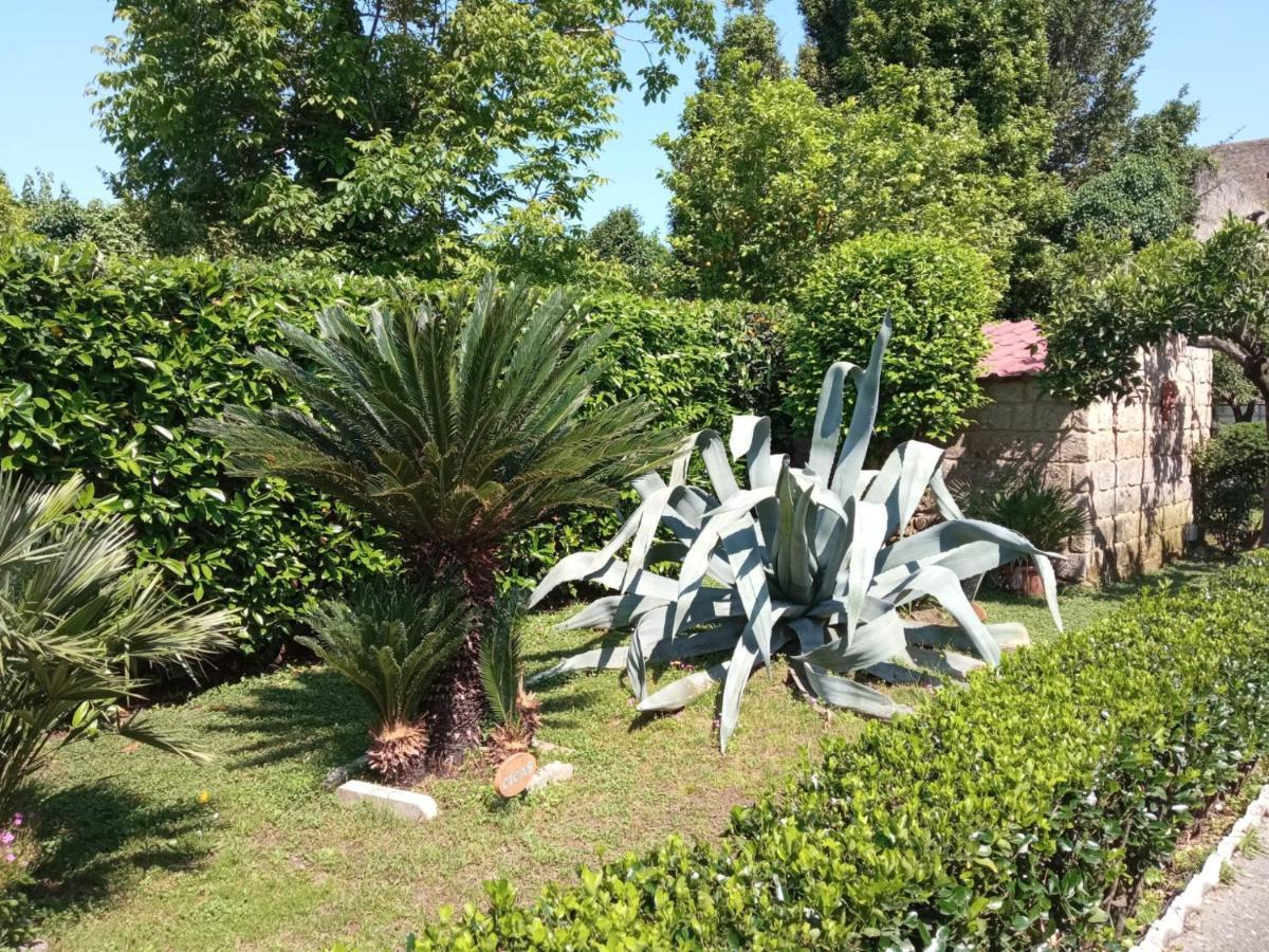 קאסרטה Il Giardino Degli Agrumi מראה חיצוני תמונה
