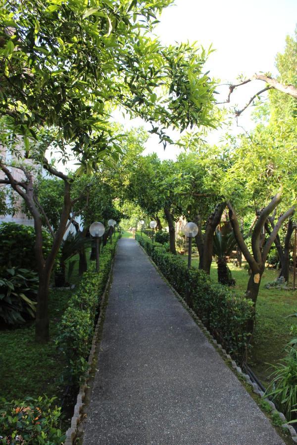 קאסרטה Il Giardino Degli Agrumi מראה חיצוני תמונה