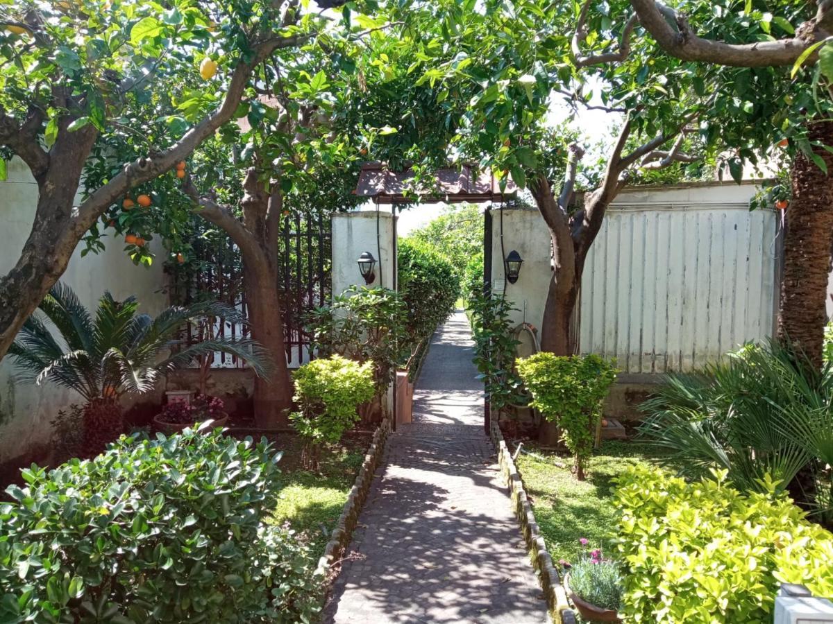 קאסרטה Il Giardino Degli Agrumi מראה חיצוני תמונה