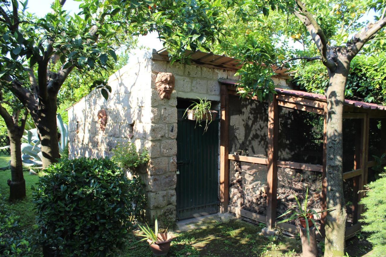 קאסרטה Il Giardino Degli Agrumi מראה חיצוני תמונה