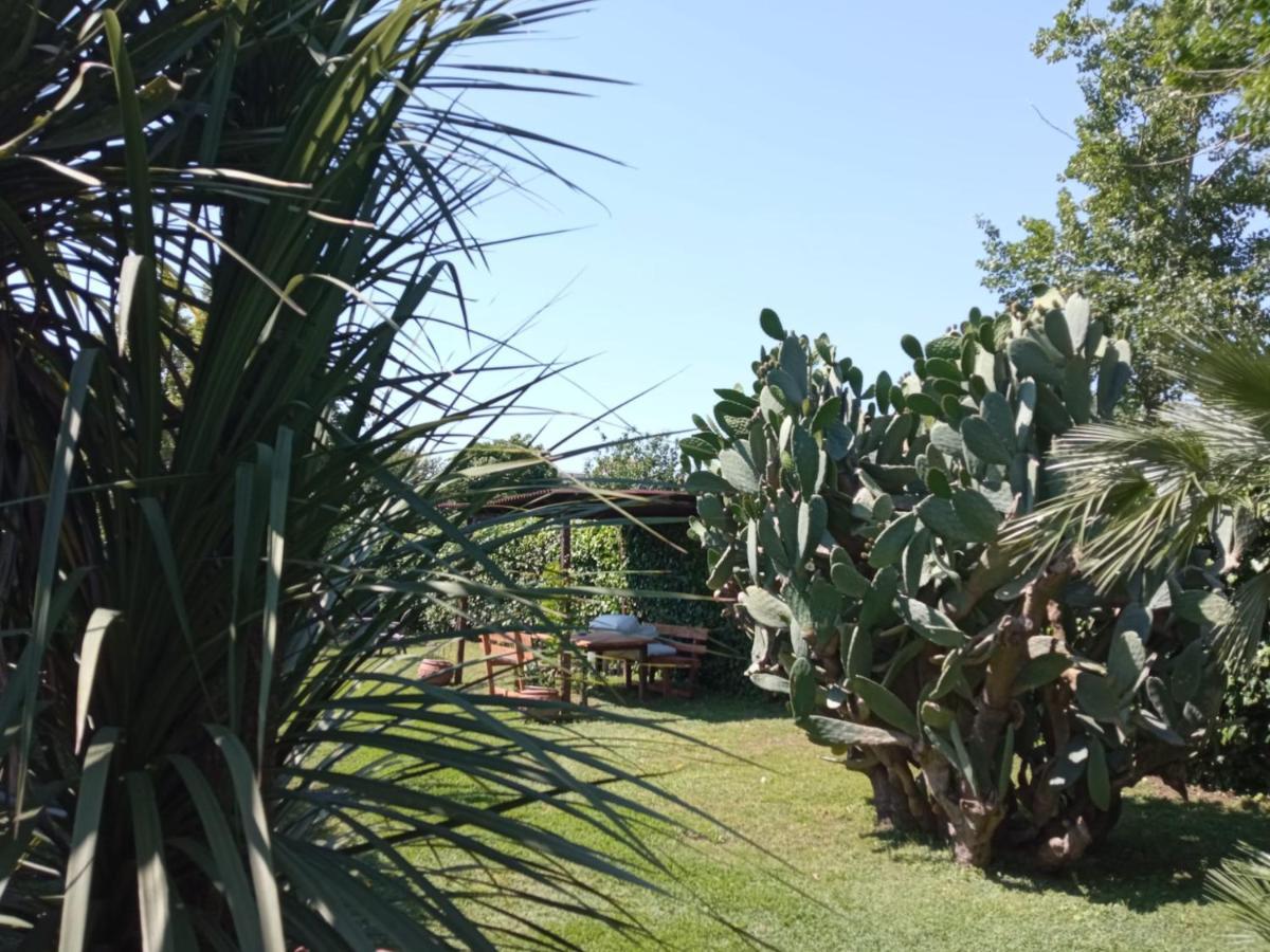 קאסרטה Il Giardino Degli Agrumi מראה חיצוני תמונה