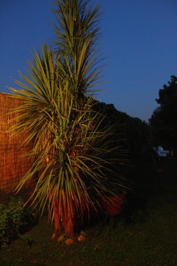 קאסרטה Il Giardino Degli Agrumi מראה חיצוני תמונה