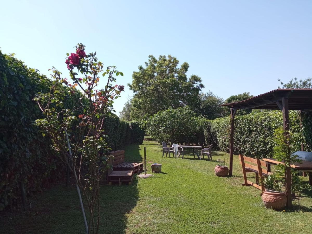 קאסרטה Il Giardino Degli Agrumi מראה חיצוני תמונה