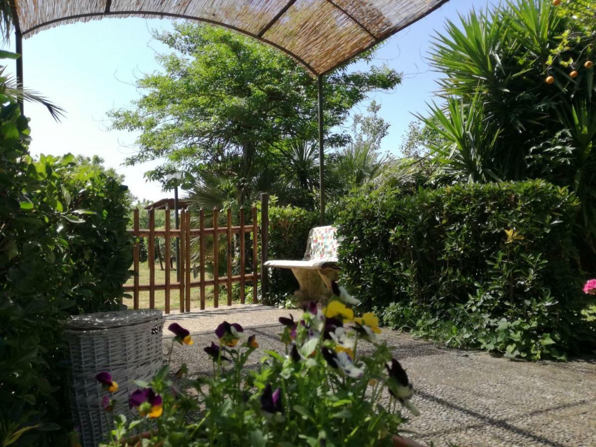 קאסרטה Il Giardino Degli Agrumi מראה חיצוני תמונה