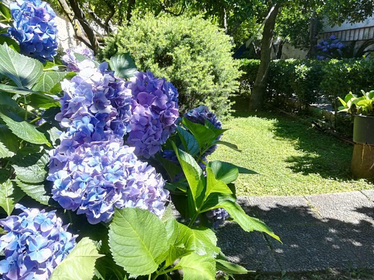 קאסרטה Il Giardino Degli Agrumi מראה חיצוני תמונה